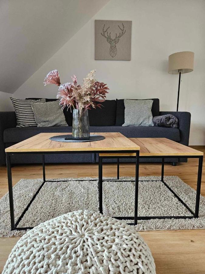Horsky Apartman Miki Filipovice ภายนอก รูปภาพ